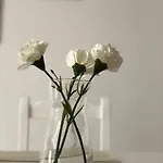Ajabo Adeje アパート アデヘ