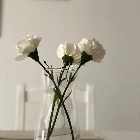 Ajabo Adeje Daire Costa Adeje